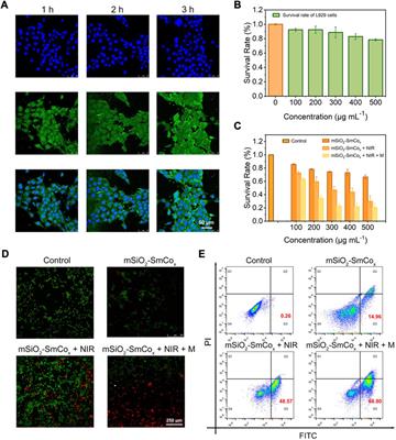 Corrigendum: Tailoring mSiO2-SmCox nanoplatforms for magnetic/photothermal effect-induced hyperthermia therapy